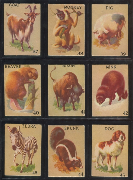 R15-2 Schranz & Bieber Animals Complete Set of (54) Cards