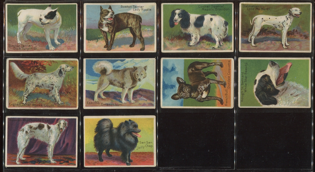 T96 Oxford Cigarettes Prize Dog Series Complete Set of (10) Cards