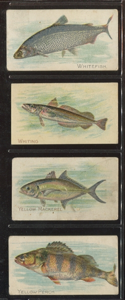 T58 Fish Mixed-Back Near Set of (99/100) with (20) Sovereign Backs