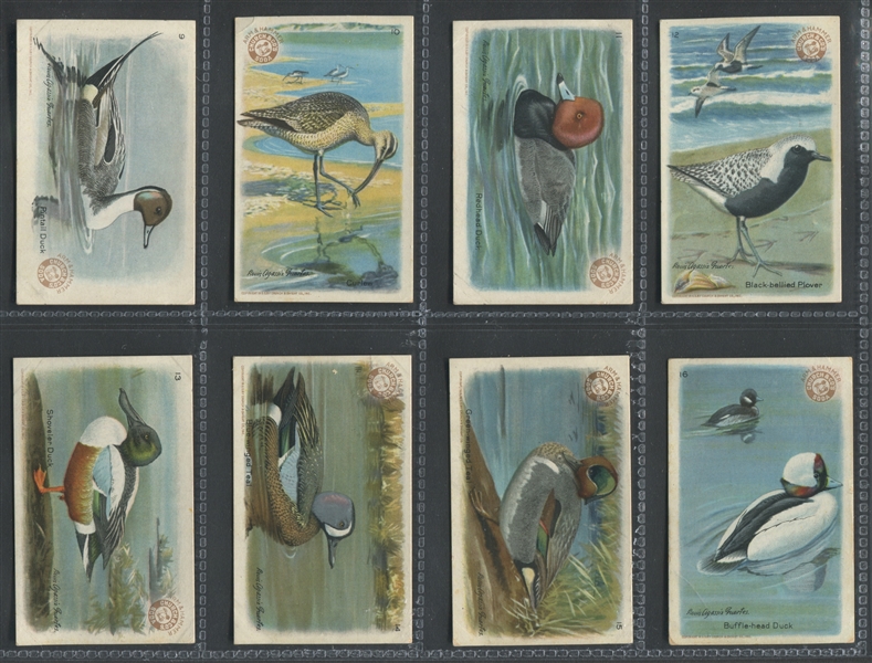 J8 Church & Dwight Useful Birds - Series 4 Near Set (26/30) Cards