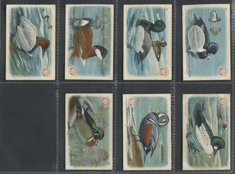 J8 Church & Dwight Useful Birds - Series 4 Near Set (26/30) Cards