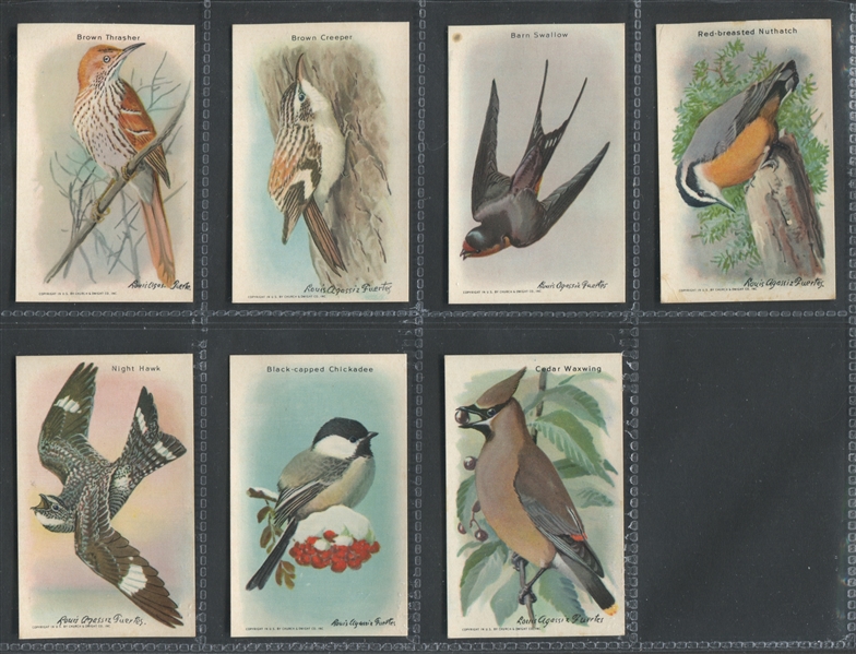 J9-6 Church & Dwight Useful Birds - 10th Series Complete Set of (15) Cards