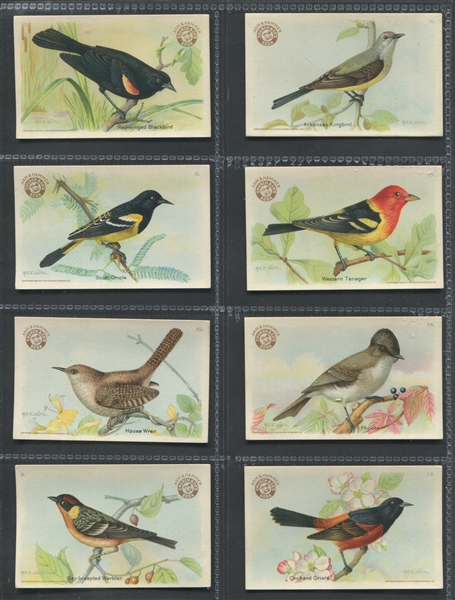 J7 Church & Dwight Useful Birds - Series 3 Complete Set of (30) Cards