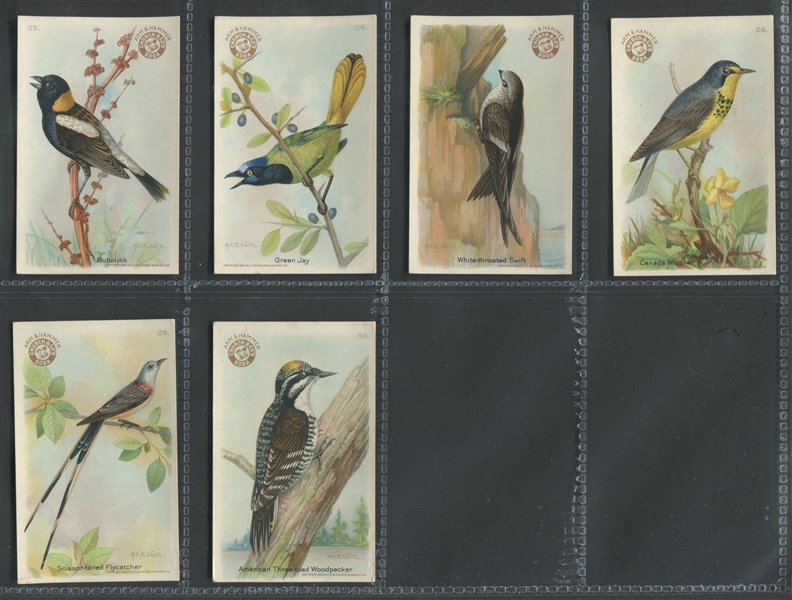 J7 Church & Dwight Useful Birds - Series 3 Complete Set of (30) Cards