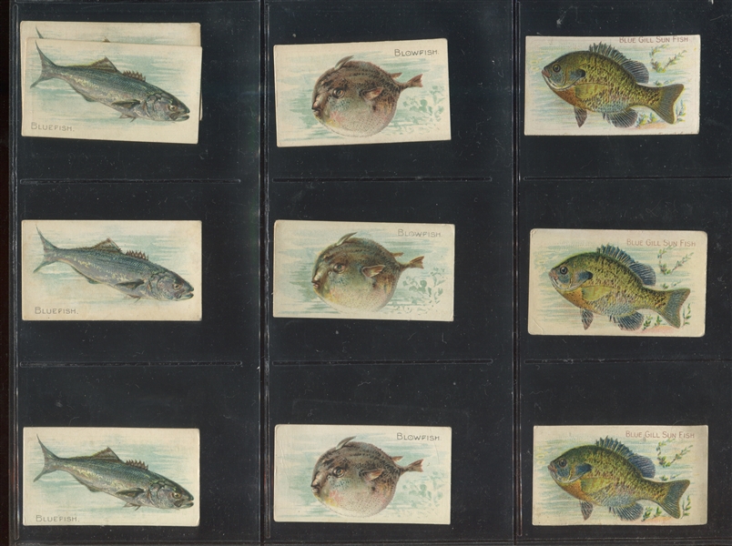 T58 Fish Series Lot of Over (300) Cards with Near Sets