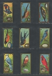 E226 Lowneys Bird Studies Near Complete Set (24/25) Cards