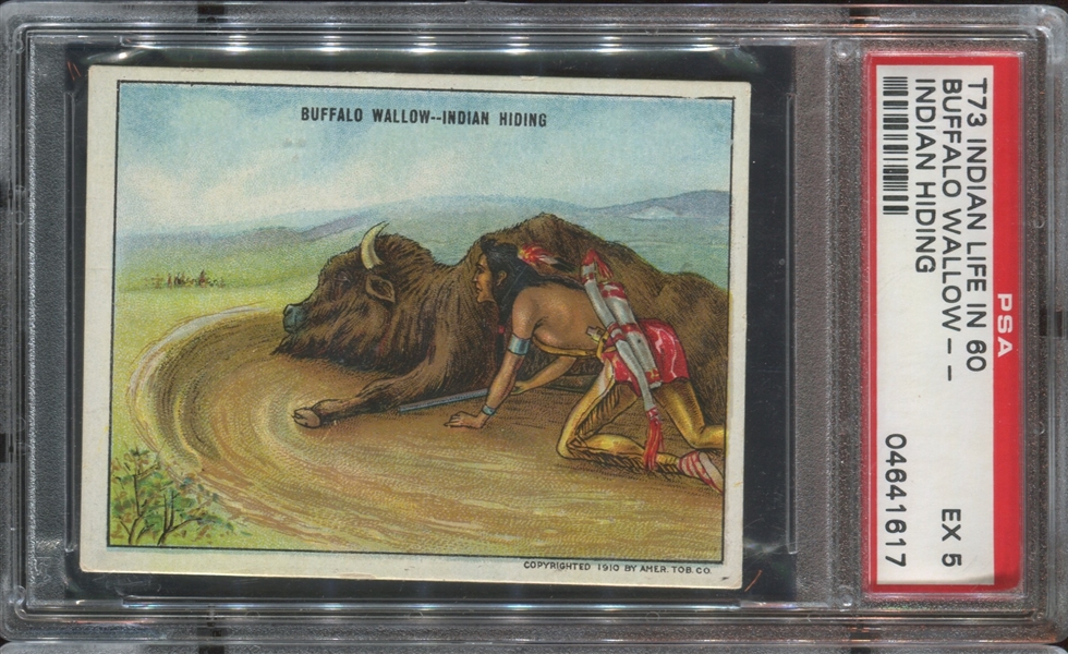T73 Hassan Indian Life in 60's - Buffalo Wallow PSA5 EX