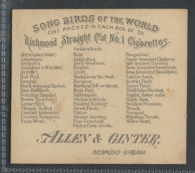 N42 Allen & Ginter Song Birds of the World Lot of (3) Different