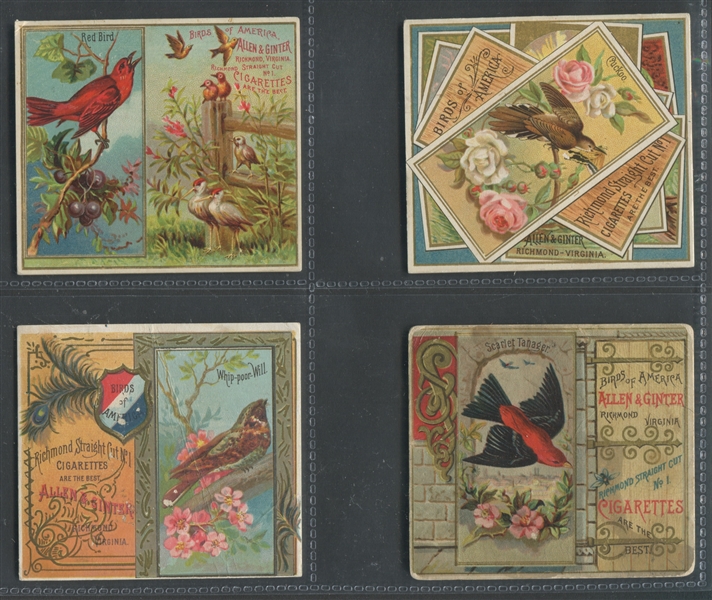 N37 Allen & Ginter Birds of America Lot of (6) Different