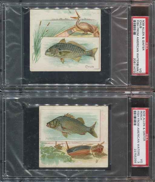 N39 Allen & Ginter Fish From American Waters Lot of (2) PSA3-Graded Cards