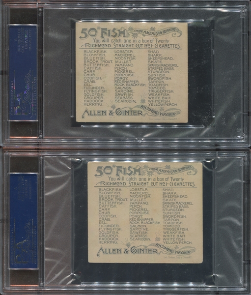 N39 Allen & Ginter Fish From American Waters Lot of (2) PSA3-Graded Cards