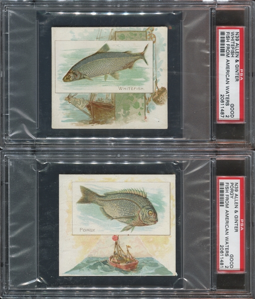N39 Allen & Ginter Fish From American Waters Lot of (3) PSA2-Graded Cards