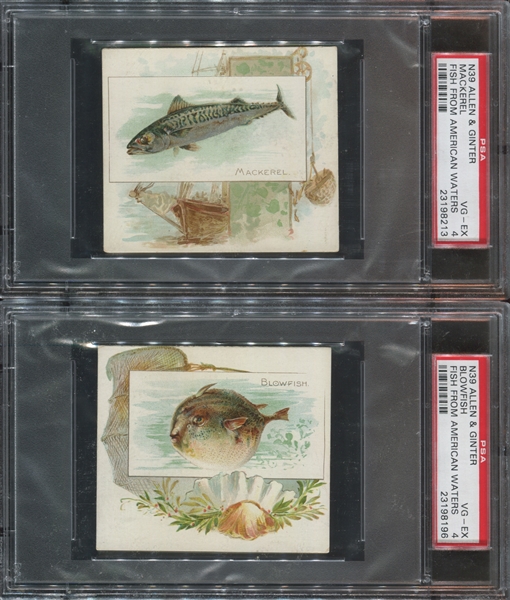 N39 Allen & Ginter Fish From American Waters Lot of (4) PSA4-Graded Cards