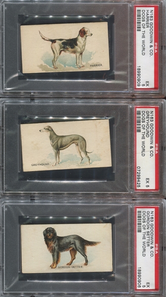 N163 Goodwin Old Judge Dogs of the World Lot of (7) PSA5 EX Graded Cards