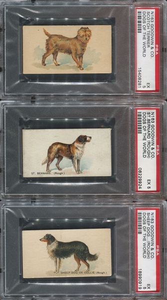 N163 Goodwin Old Judge Dogs of the World Lot of (6) PSA5 EX Graded Cards