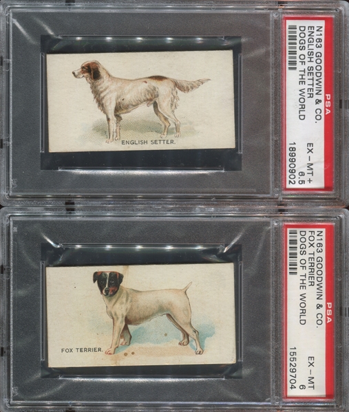 N163 Goodwin Old Judge Dogs of the World Lot of (7) PSA6 EX-MT Graded Cards