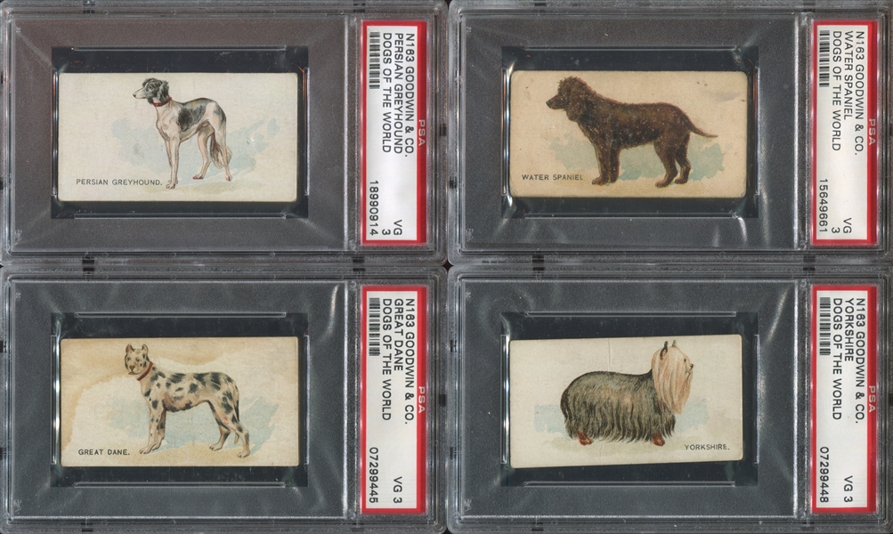 N163 Goodwin Dogs of the World Lot of (11) PSA3 VG Graded Cards