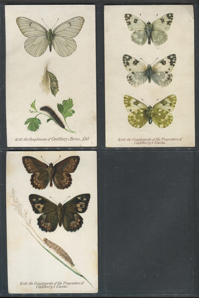 1930's Cadbury's Cocoa Reward Card Butterflies Lot of (7) Cards
