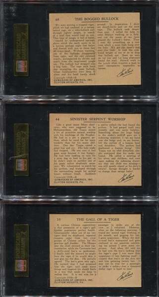 R55 Gumakers of America Frank Buck Lot of (7) SGC40 VG Graded Cards