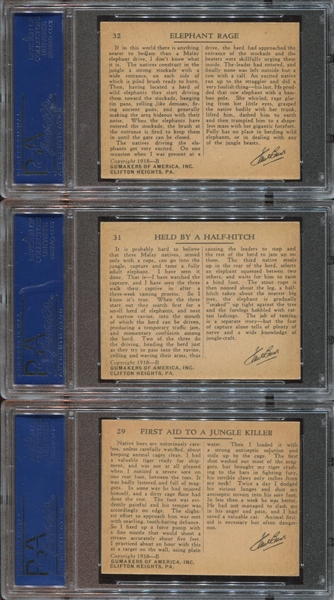 R55 Gumakers of America Frank Buck Lot of (6) PSA5 EX Graded Cards