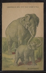 D11 Kream-Krust Bread "Animal Cut-Outs" Elephant Type Card