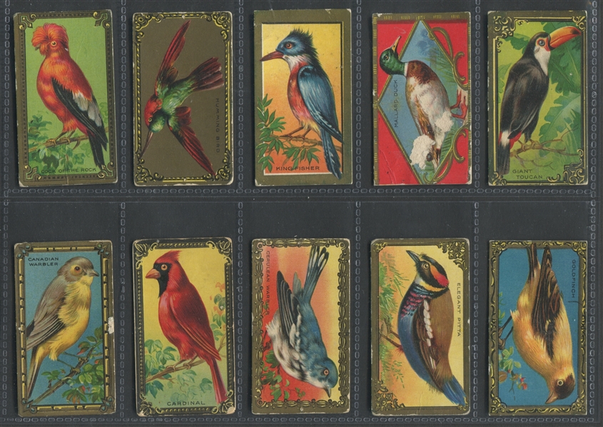 T43 Bird Series Gold Border Near Complete Set (28/30) Cards