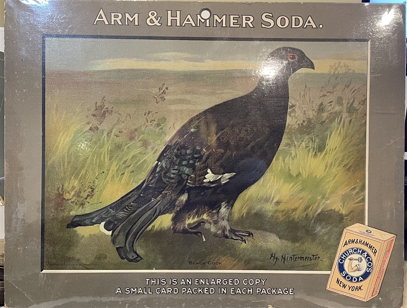 Early 1900's Church & Dwight Arm & Hammer Store Poster - Black Cock