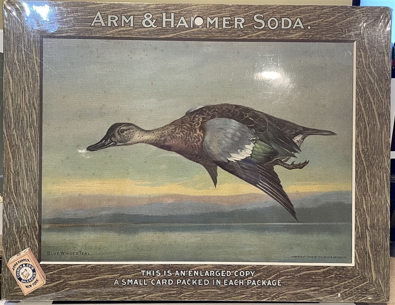 Early 1900's Church & Dwight Arm & Hammer Store Poster - Blue Winged Teal