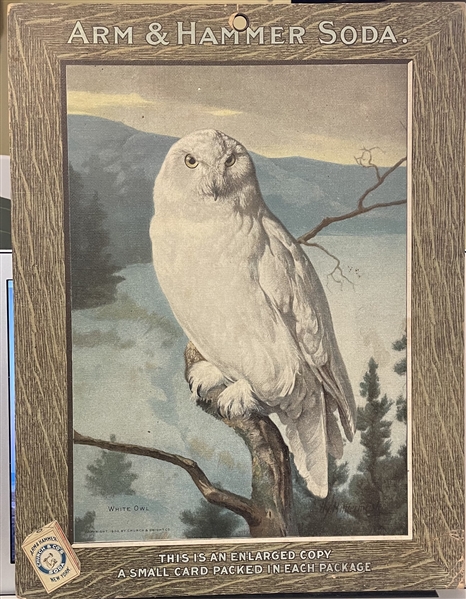 Early 1900's Church & Dwight Arm & Hammer Store Poster - White Owl