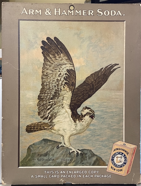 Early 1900's Church & Dwight Arm & Hammer Store Poster - Osprey