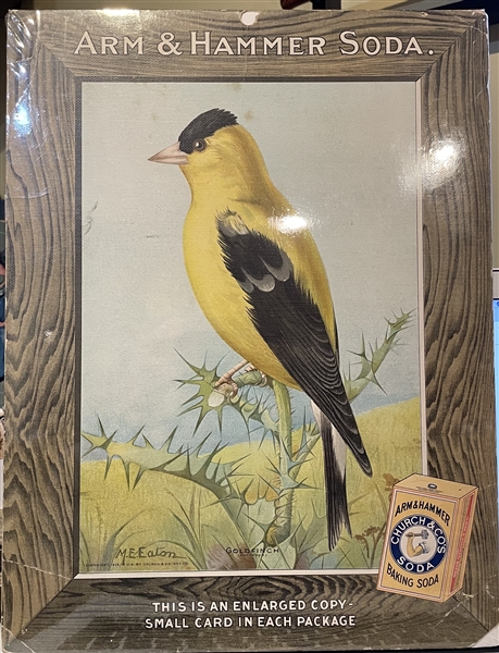 Early 1900's Church & Dwight Arm & Hammer Store Poster - Goldfinch
