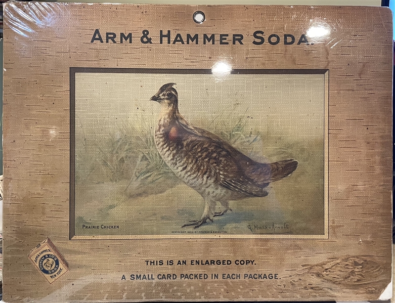 Early 1900's Church & Dwight Arm & Hammer Store Poster - Prairie Chicken