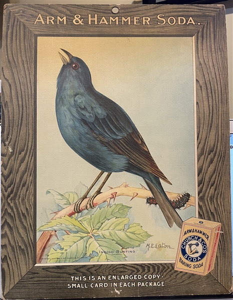 Early 1900's Church & Dwight Arm & Hammer Store Poster - Indigo Bunting