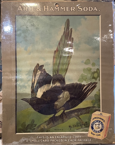 Early 1900's Church & Dwight Arm & Hammer Store Poster - Magpie