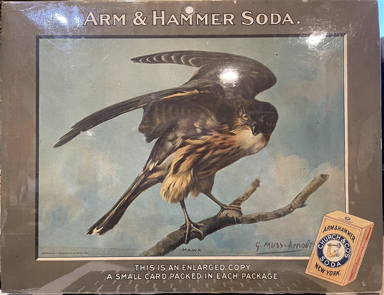 Early 1900's Church & Dwight Arm & Hammer Store Poster - Hawk