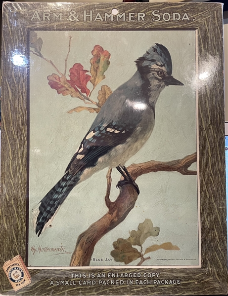 Early 1900's Church & Dwight Arm & Hammer Store Poster - Blue Jay