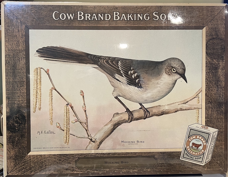 Early 1900's Church & Dwight Arm & Hammer Store Poster - Mocking Bird