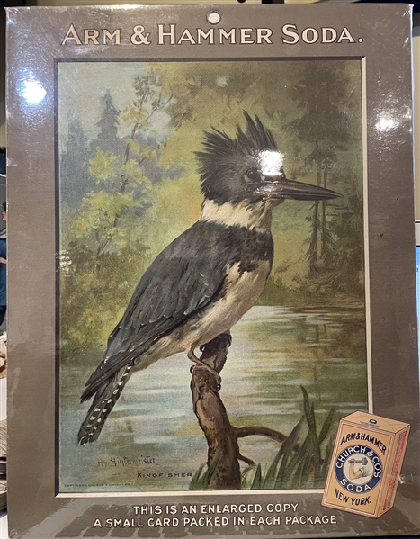Early 1900's Church & Dwight Arm & Hammer Store Poster - Kingfisher