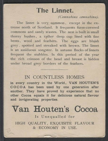 H695 Van Houten's Cocoa Aviary Lot of (4) Trade Cards