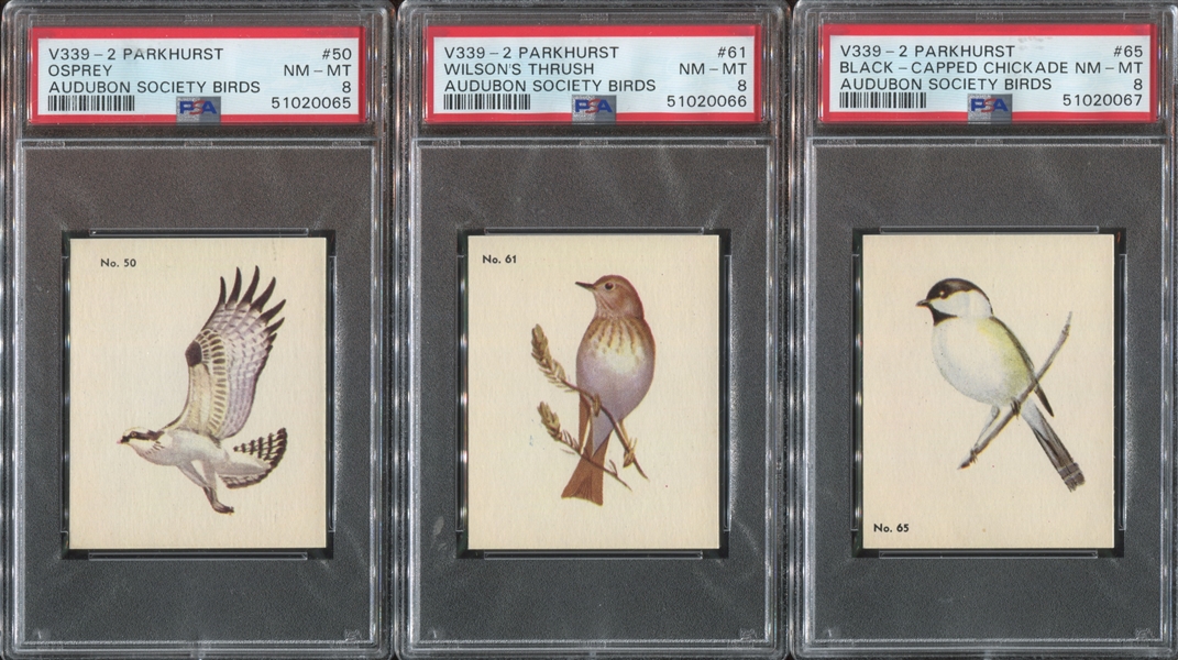 V339-2 Parkhurst Gum Audubon Birds Lot of (3) PSA8 NM-MT Cards
