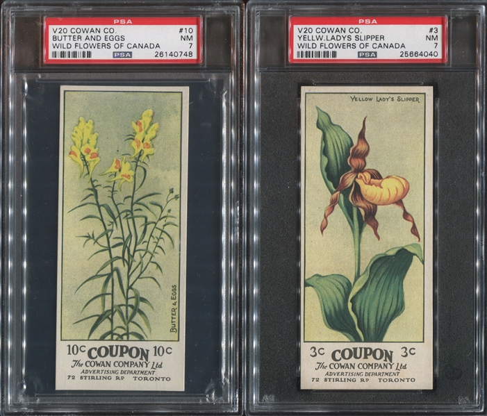 V20 Cowan's Chocolates Wildflowers PSA7 NM-Graded Cards Lot of (2) 