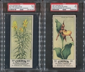 V20 Cowans Chocolates Wildflowers PSA7 NM-Graded Cards Lot of (2) 