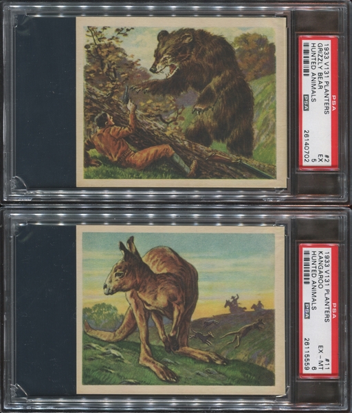 V131 Planters Hunted Animals Lot of (4) PSA5-Graded Cards