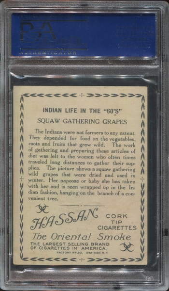 T73 Hassan Indian Life in 60's - Squaw Gathering Grapes PSA6 EX-MT