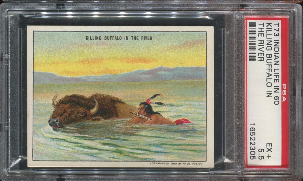 T73 Hassan Indian Life in 60's - Killing Buffalo in the River PSA5.5 EX+