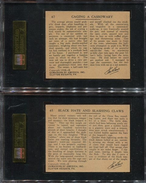 R55 Gumakers of America Frank Buck Lot of (5) SGC60 EX Graded Cards