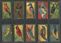 T43 Bird Series "Gold Border" Near Complete Set (28/30) Cards