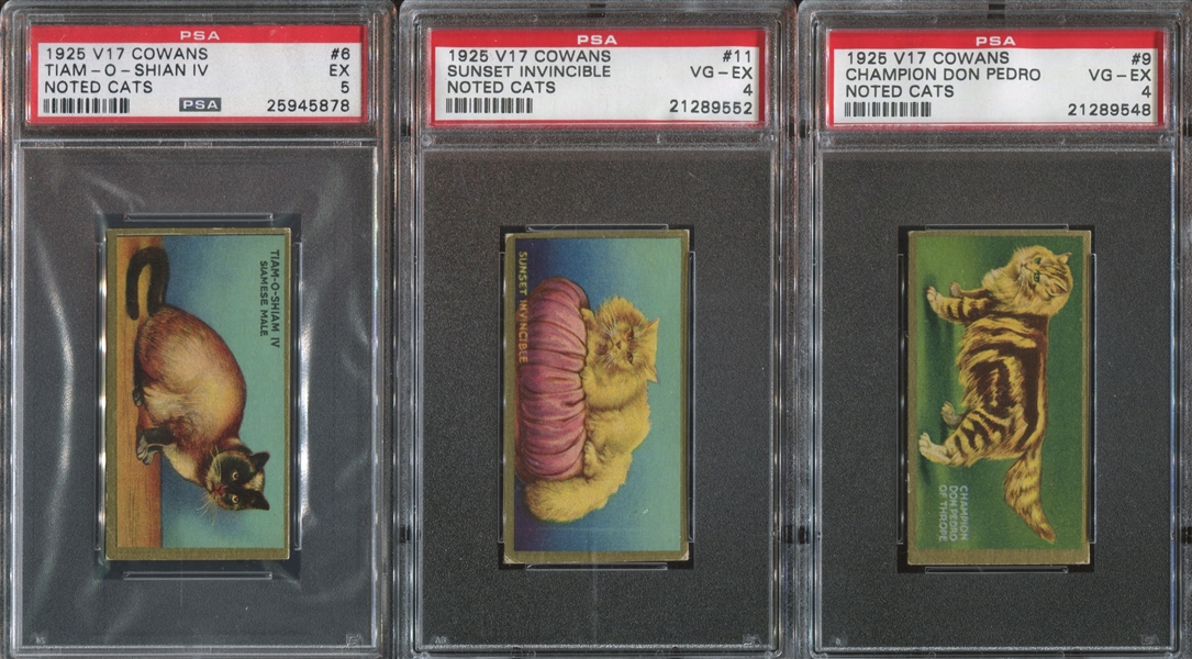V17 Cowan's Chocolates Noted Cats PSA-Graded Lot of (3) Cards