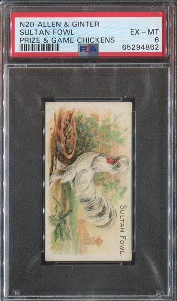 N20 Allen & Ginter Prize and Game Chickens Sultan Fowl PSA6 EX-MT