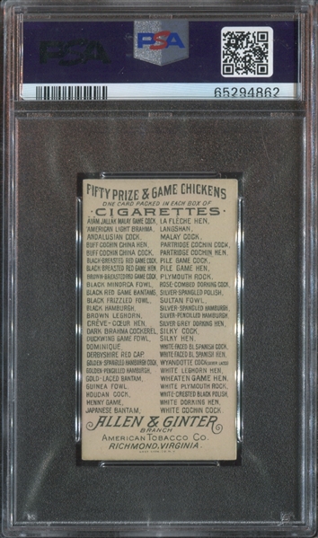 N20 Allen & Ginter Prize and Game Chickens Sultan Fowl PSA6 EX-MT